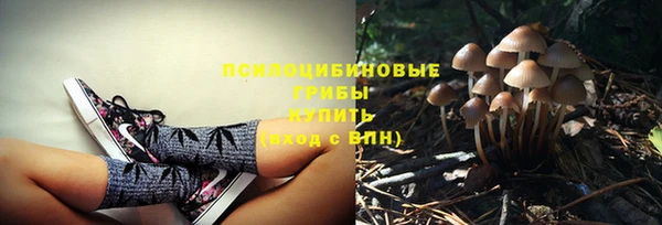 ПСИЛОЦИБИНОВЫЕ ГРИБЫ Елизово