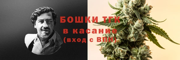 ПСИЛОЦИБИНОВЫЕ ГРИБЫ Елизово