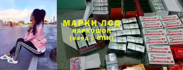 гидропоника Ельня