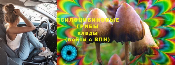 гидропоника Ельня