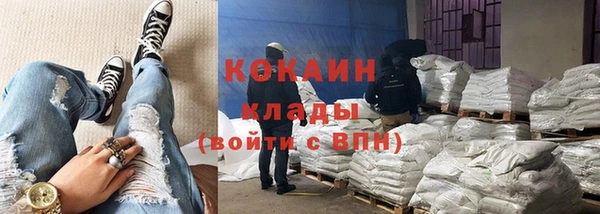 ПСИЛОЦИБИНОВЫЕ ГРИБЫ Елизово