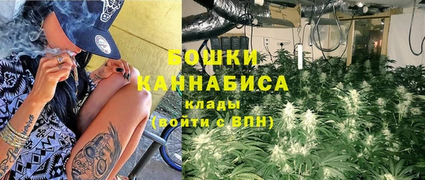 ПСИЛОЦИБИНОВЫЕ ГРИБЫ Елизово