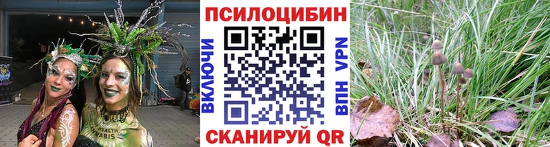 Псилоцибиновые грибы MAGIC MUSHROOMS  Шацк 